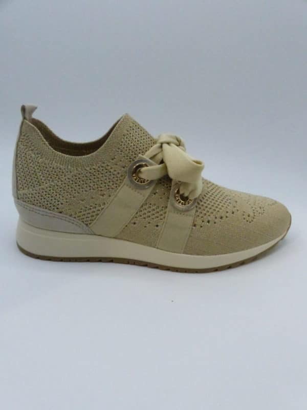 BASKET FUGITIVE TAXO – Image 2