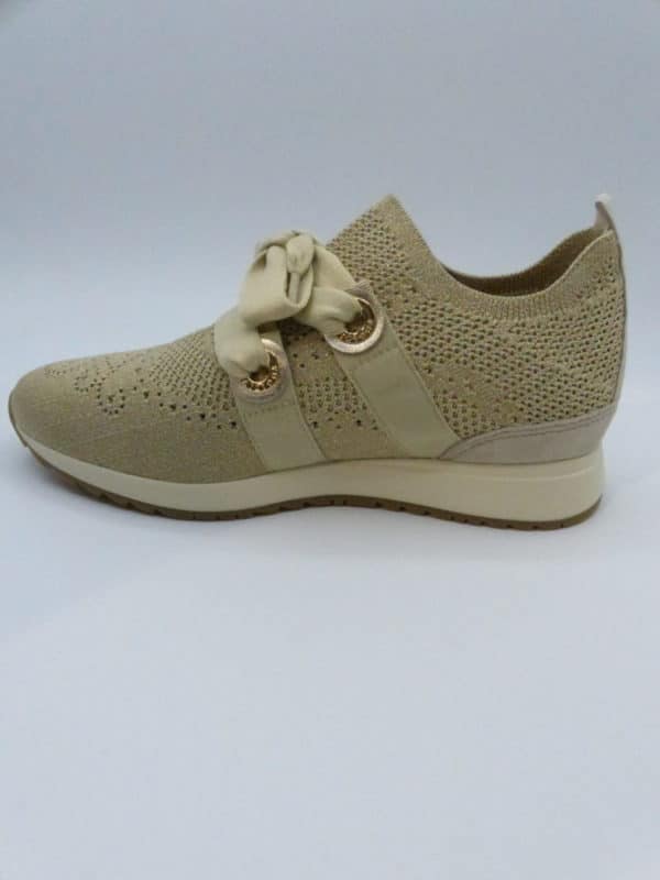BASKET FUGITIVE TAXO – Image 4